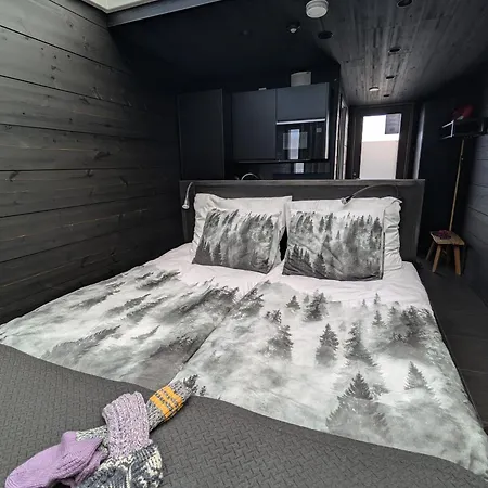 Daire Pyhae Dreams Pyhätunturi