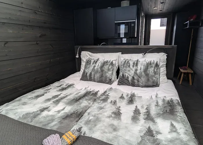 Daire Pyhae Dreams Pyhätunturi